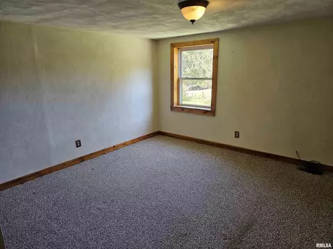 245 Henry Hicks Rd, Herod, IL 62947 photo 23