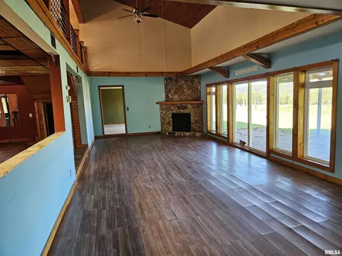 245 Henry Hicks Rd, Herod, IL 62947 photo 9