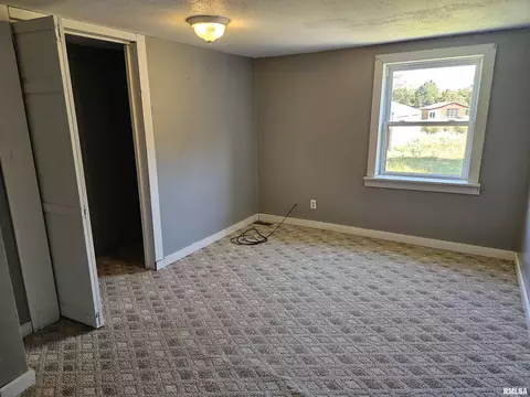 245 Henry Hicks Rd, Herod, IL 62947 photo 24
