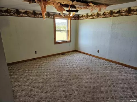 245 Henry Hicks Rd, Herod, IL 62947 photo 21