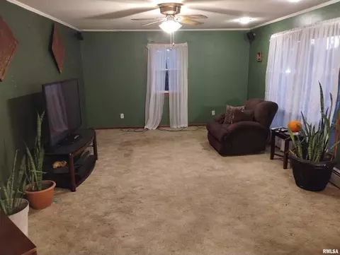 200 N Centennial St, Cobden, IL 62920 photo 11