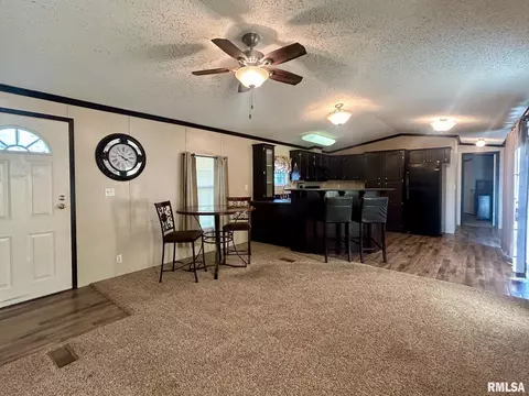 501 Grant Ave, Dowell, IL 62927 photo 7