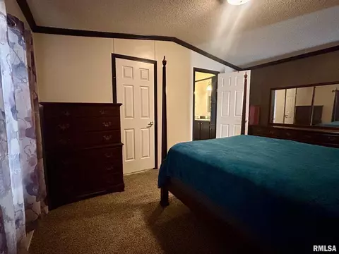 501 Grant Ave, Dowell, IL 62927 photo 15