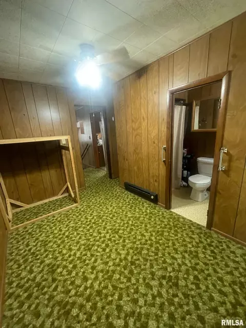 409 Mcfall St, Benton, IL 62812 photo 22