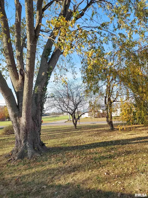 757 W 12th St, Flora, IL 62839 photo 29
