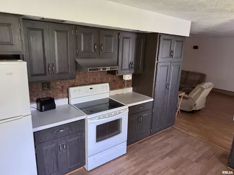 309 E Gelston St, Valier, IL 62891 photo 12