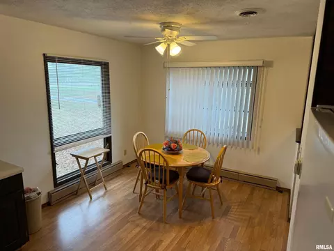 309 E Gelston St, Valier, IL 62891 photo 19