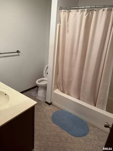 309 E Gelston St, Valier, IL 62891 photo 20