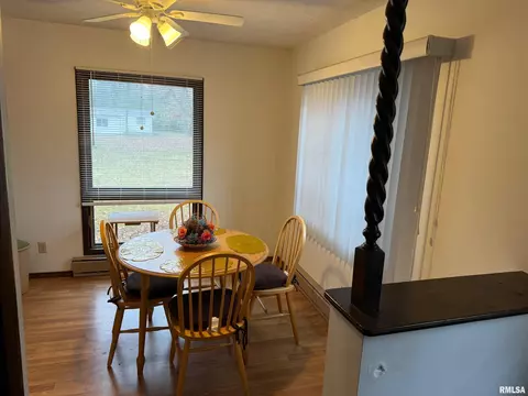 309 E Gelston St, Valier, IL 62891 photo 16