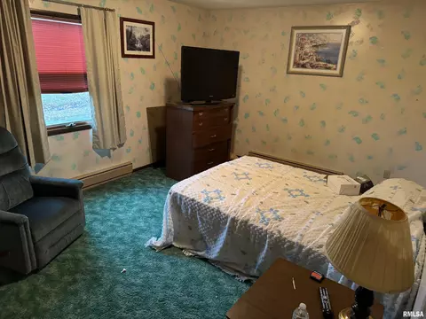 309 E Gelston St, Valier, IL 62891 photo 29