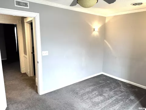 137 S Pine St, Centralia, IL 62801 photo 34