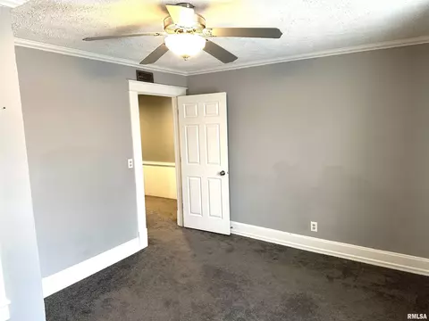 137 S Pine St, Centralia, IL 62801 photo 38
