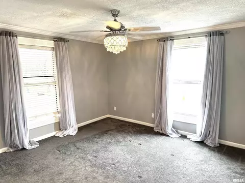 137 S Pine St, Centralia, IL 62801 photo 32