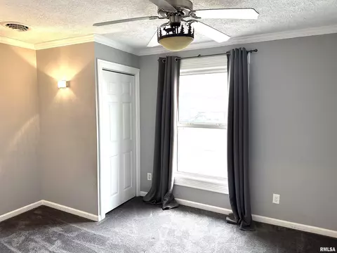 137 S Pine St, Centralia, IL 62801 photo 29