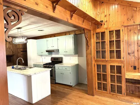 137 S Pine St, Centralia, IL 62801 photo 18