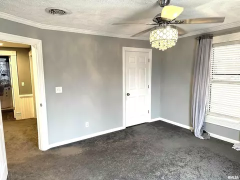 137 S Pine St, Centralia, IL 62801 photo 37