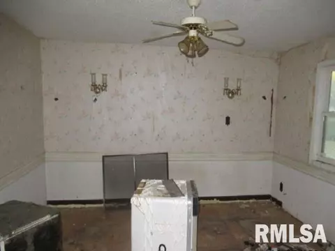 17677 Monroe Rd, Johnston City, IL 62951 photo 5