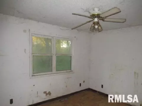 17677 Monroe Rd, Johnston City, IL 62951 photo 9