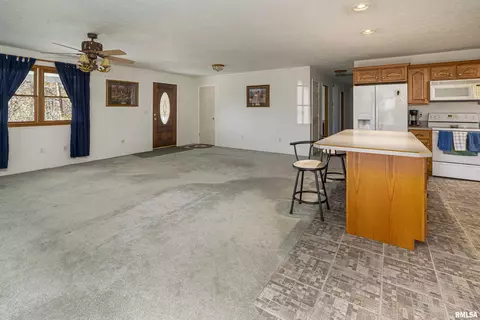 119 E Mcguire Rd, Makanda, IL 62958 photo 5