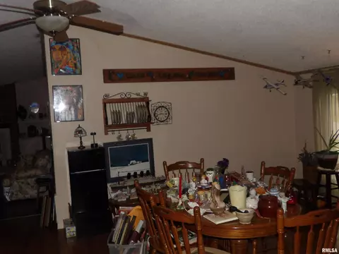 402 E Webster St, Benton, IL 62812 photo 13
