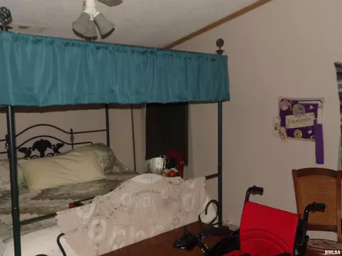 402 E Webster St, Benton, IL 62812 photo 19