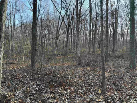 000 State Route 37 Rte, Kell, IL 62853 photo 7