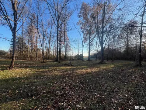 14052 Summer Rd, Benton, IL 62812 photo 39