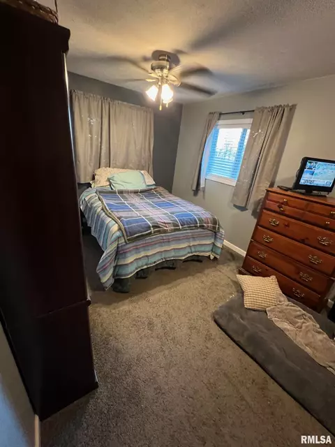 14052 Summer Rd, Benton, IL 62812 photo 15