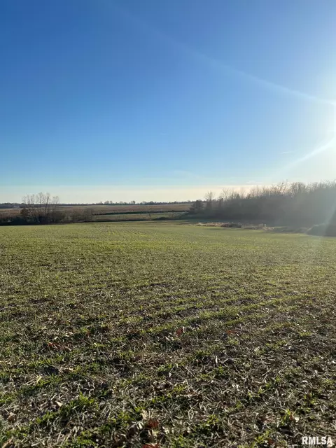 14052 Summer Rd, Benton, IL 62812 photo 38