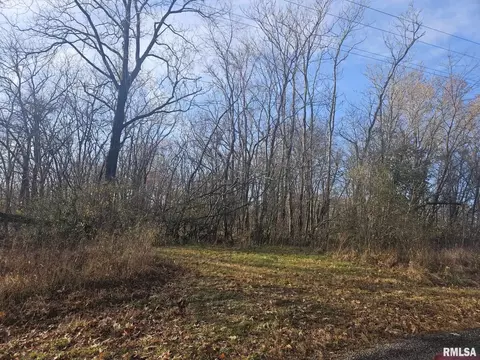 0000 Eakin Grove Rd, Benton, IL 62812 photo 4