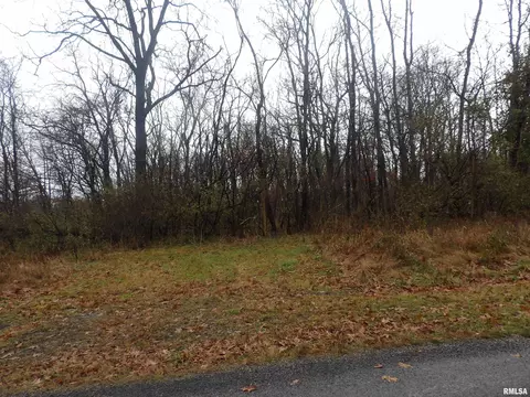 0000 Eakin Grove Rd, Benton, IL 62812 photo 7