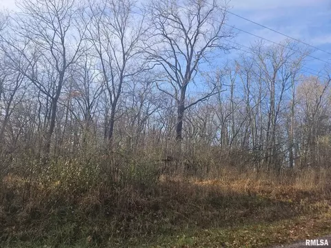 0000 Eakin Grove Rd, Benton, IL 62812 photo 3