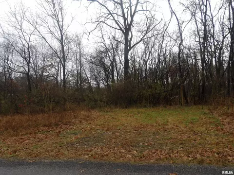 0000 Eakin Grove Rd, Benton, IL 62812 photo 14