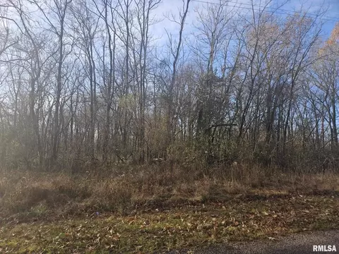 0000 Eakin Grove Rd, Benton, IL 62812 photo 5