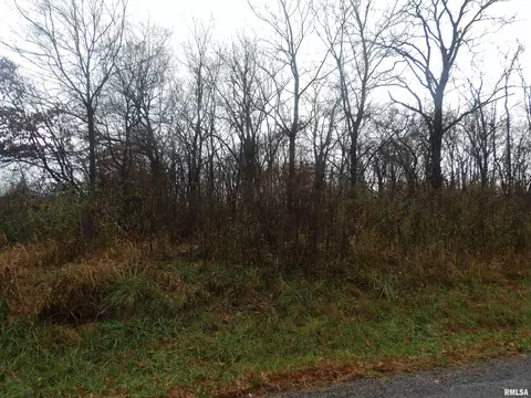 0000 Eakin Grove Rd, Benton, IL 62812 photo 10