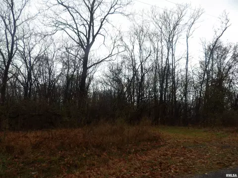 0000 Eakin Grove Rd, Benton, IL 62812 photo 13