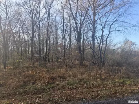 0000 Eakin Grove Rd, Benton, IL 62812 photo 8