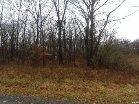 0000 Eakin Grove Rd, Benton, IL 62812 photo 15