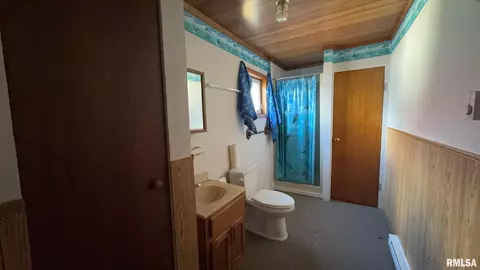 1113 E Ruth St, Benton, IL 62812 photo 18