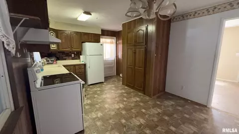 1113 E Ruth St, Benton, IL 62812 photo 11
