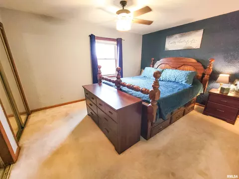 35 Stone Forge Pike, Flora, IL 62839 photo 42