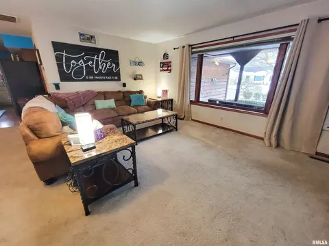 35 Stone Forge Pike, Flora, IL 62839 photo 21