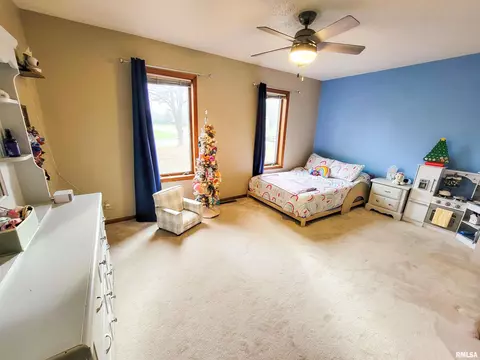 35 Stone Forge Pike, Flora, IL 62839 photo 54