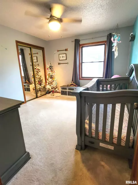 35 Stone Forge Pike, Flora, IL 62839 photo 48