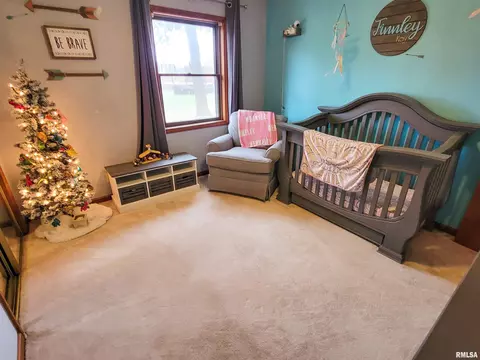 35 Stone Forge Pike, Flora, IL 62839 photo 49