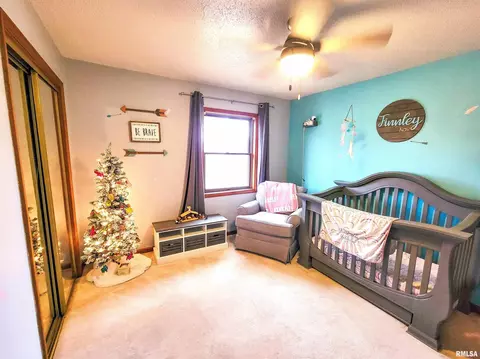 35 Stone Forge Pike, Flora, IL 62839 photo 47