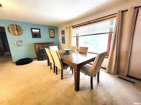 35 Stone Forge Pike, Flora, IL 62839 photo 22