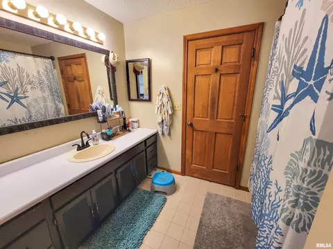 35 Stone Forge Pike, Flora, IL 62839 photo 45