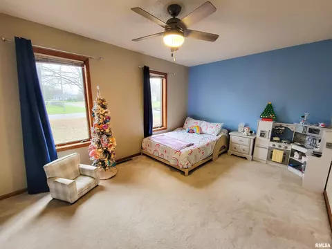 35 Stone Forge Pike, Flora, IL 62839 photo 50