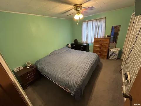 3 Phyllis Dr, Centralia, IL 62801 photo 30